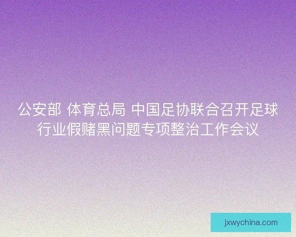 公安部 体育总局 中国足协联合召开足球行业假赌黑问题专项整治工作会议