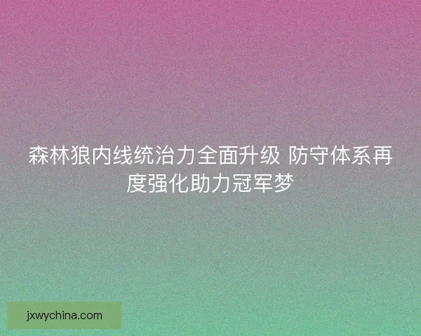 森林狼内线统治力全面升级 防守体系再度强化助力冠军梦