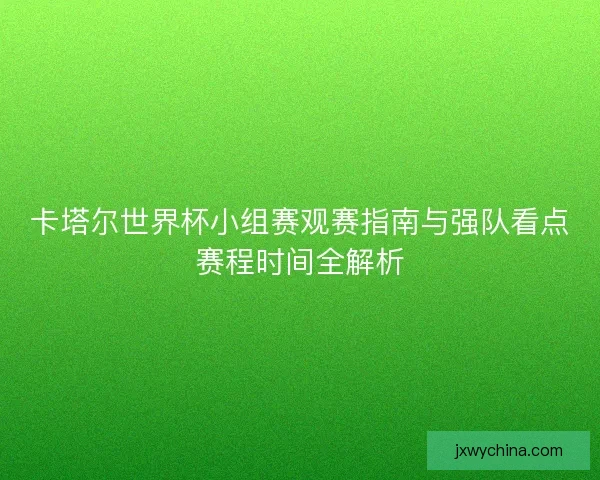 卡塔尔世界杯小组赛观赛指南与强队看点赛程时间全解析